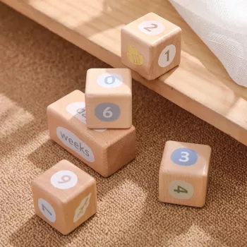 Bird-Themed Baby Wooden Milestone Blocks for Photos